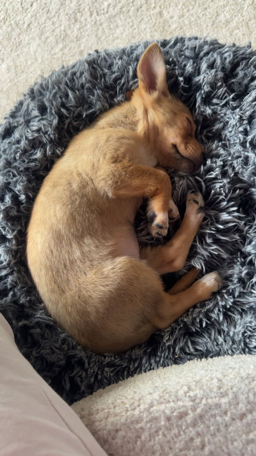 Photo 2 of Fizzy