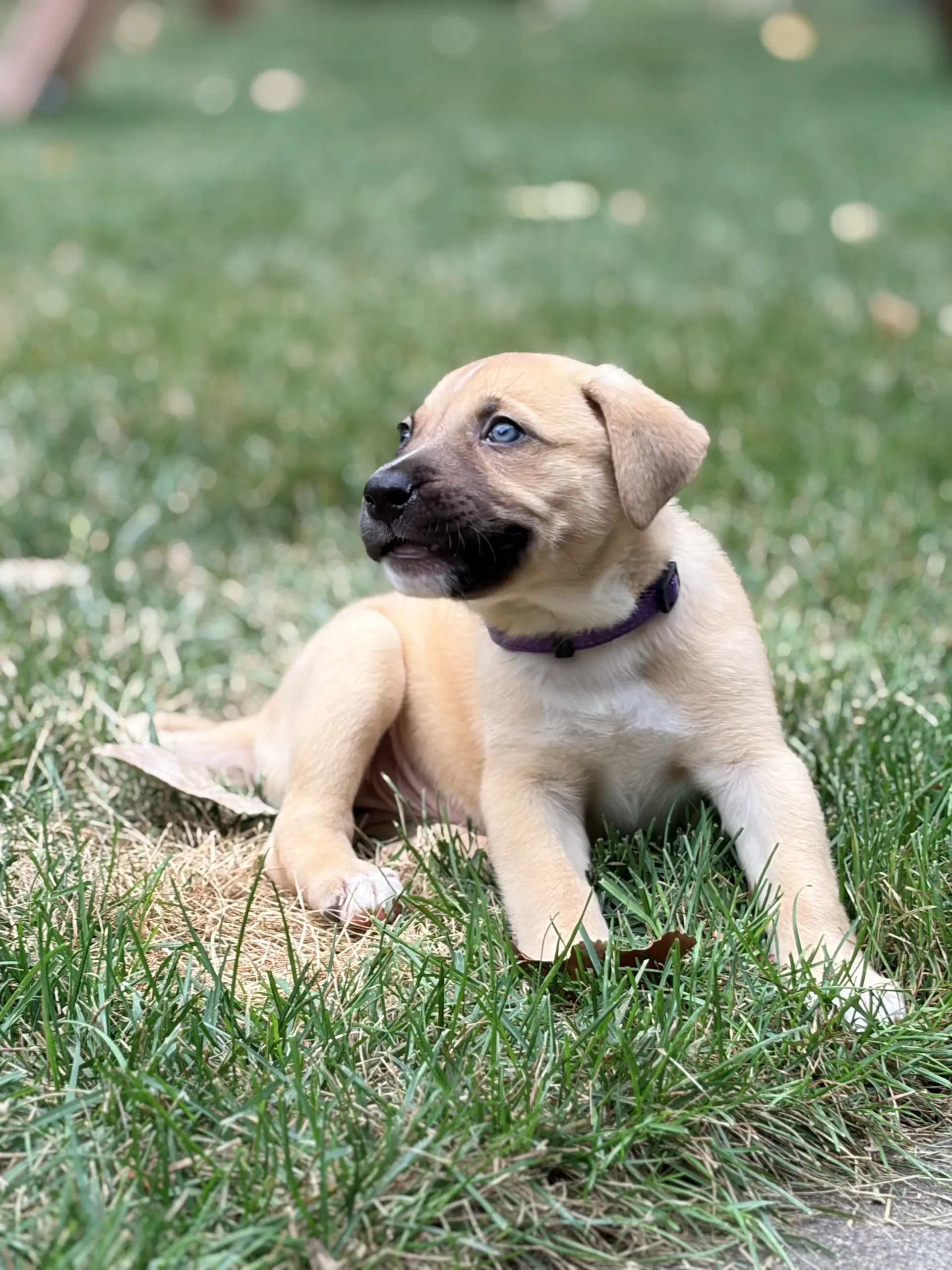 Colby image 2