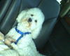 Bailey