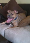 Frank