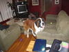 Charlie