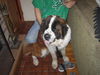 Charlie