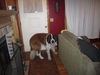 Charlie