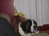Charlie