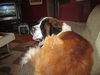 Charlie
