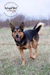 Flynn