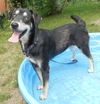 Catie