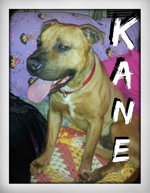 Kane