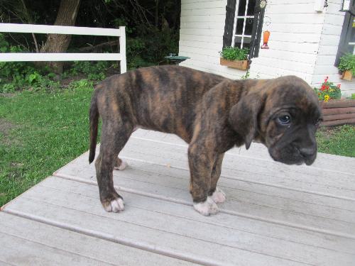 Nelly