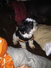 Mason