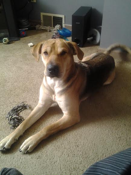 Nala