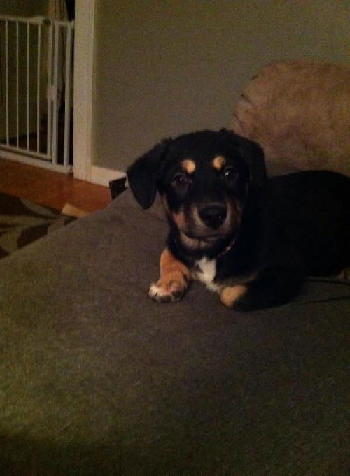 Zoey