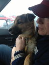 Sarge (coming soon)