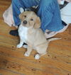 Rosie