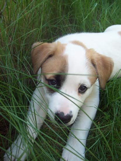 Tilly