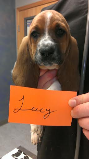 Lucy