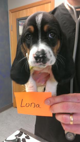 Luna