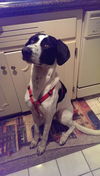 Jack