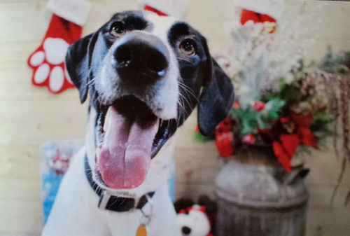 Jack