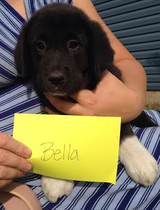 Bella