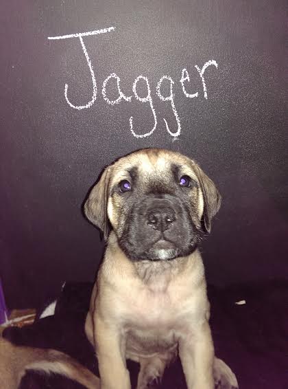 Jagger