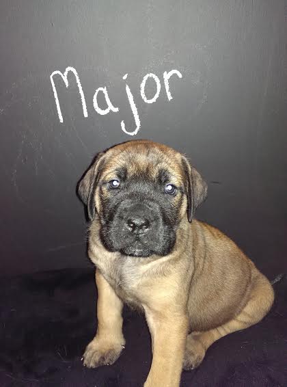Major