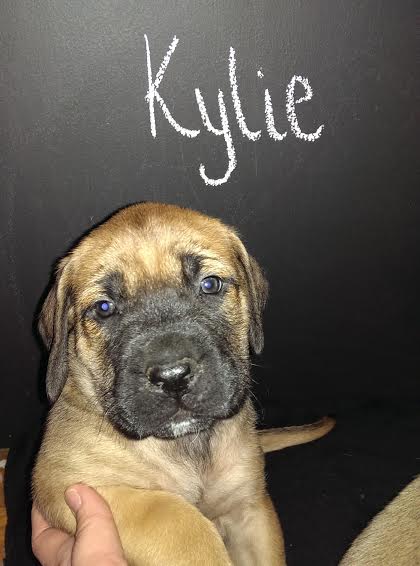Kylie