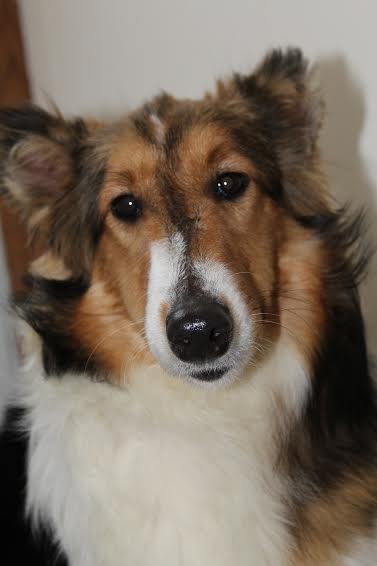 Josephine