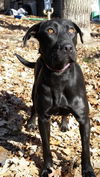 Charley