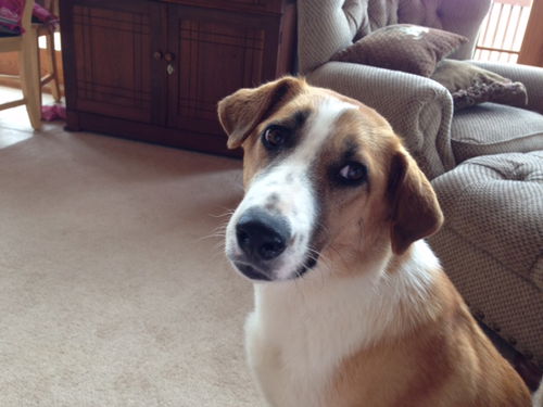 Daisey May