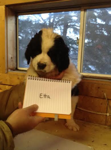 Etta
