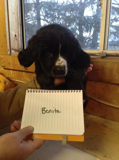 Benita