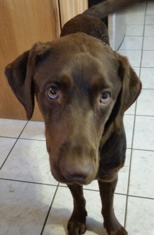Remington