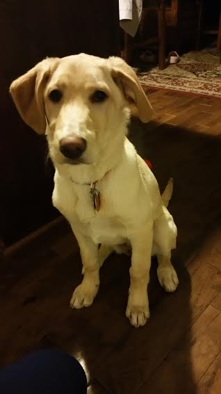Marley