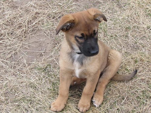 Marley