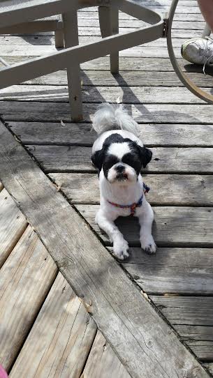 Charlie