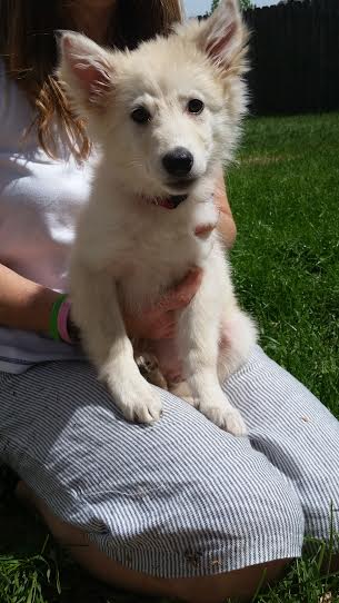 Ella