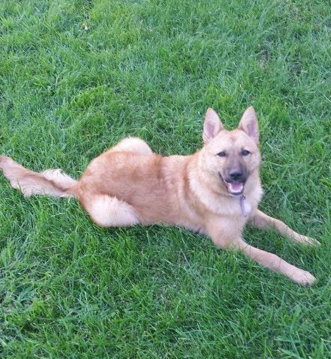 Kammi