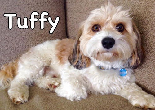 Tuffy
