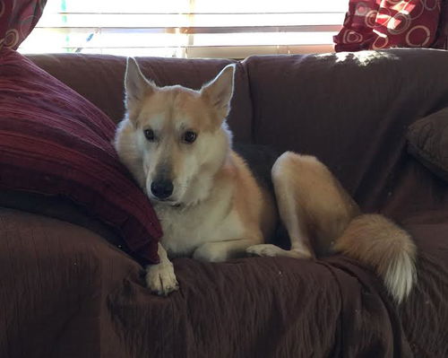 Yukon
