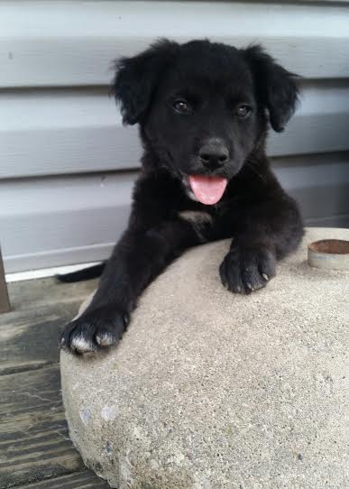 Mallory