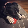 Maggie