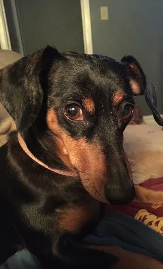 Peanut