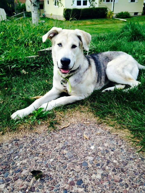 Jax