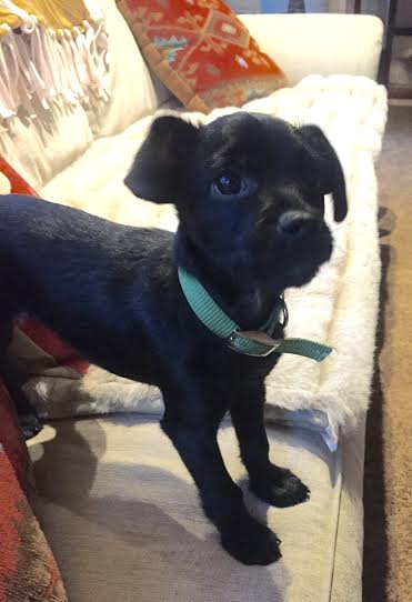Truman