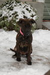Lucy