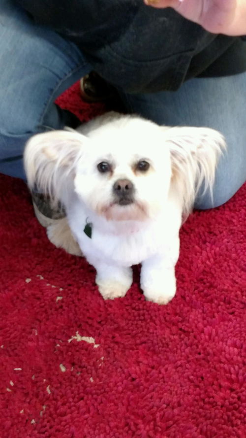 Bella