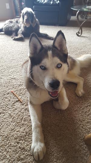 Jake