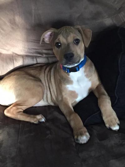 Ernie
