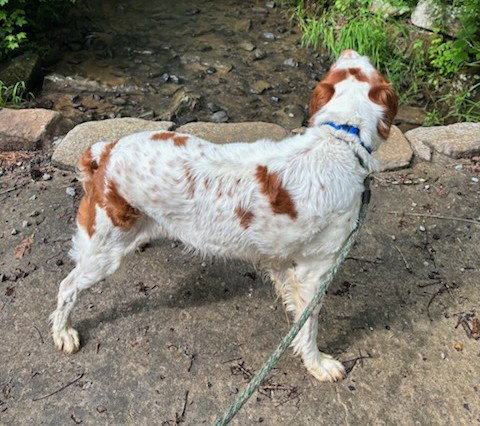 TN/Dottie, photo 3